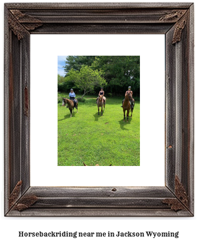 horseback riding near me in Jackson, Wyoming